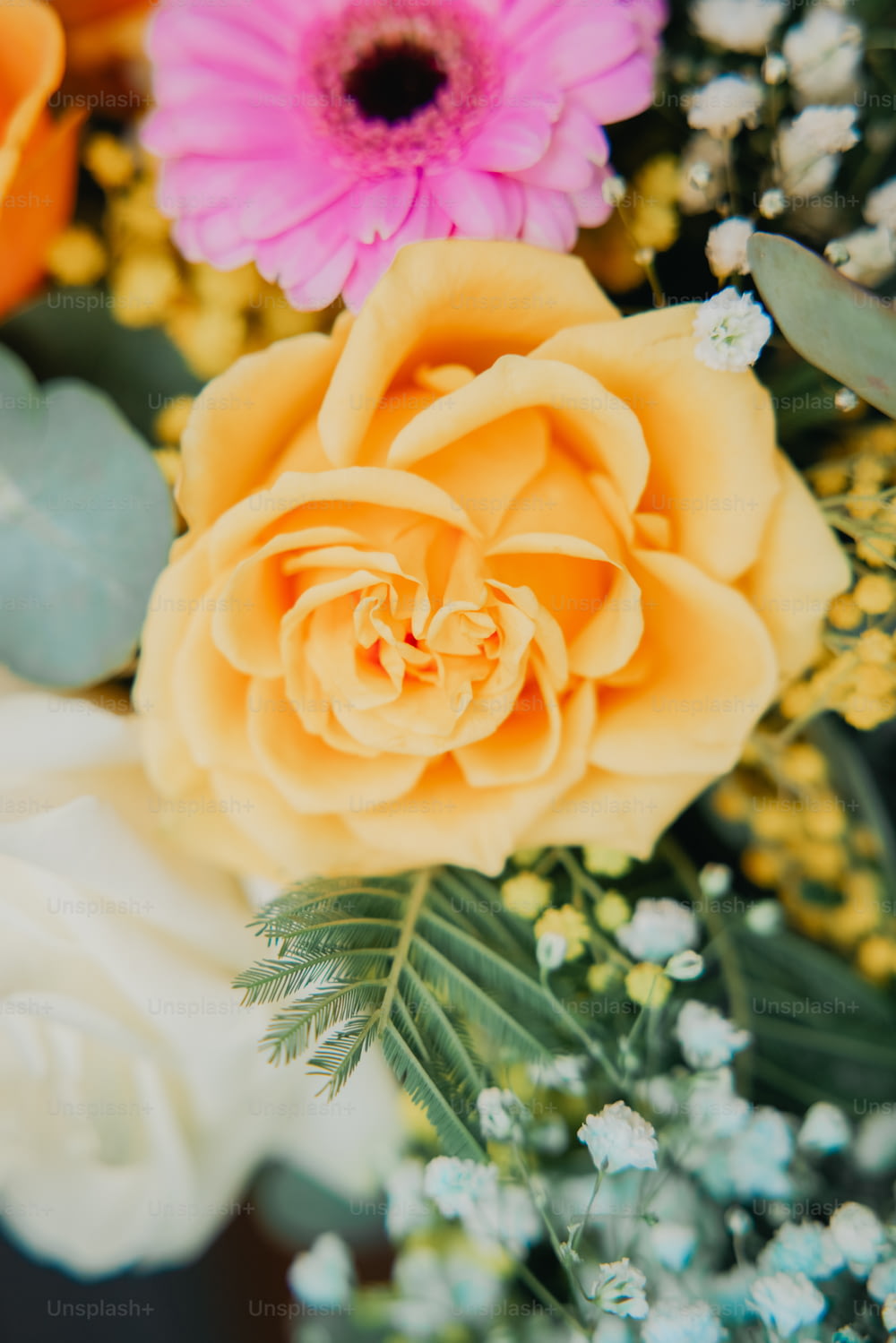 um close up de um buquê de flores
