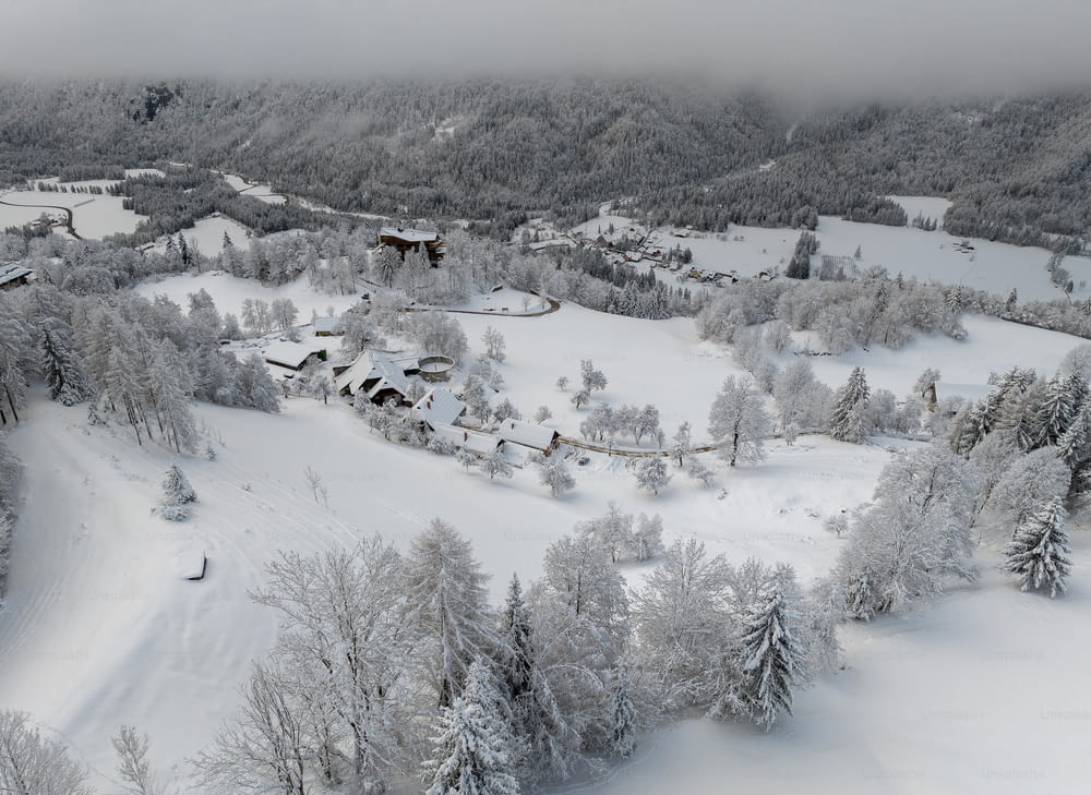 Una vista aérea de una estación de esquí rodeada de árboles