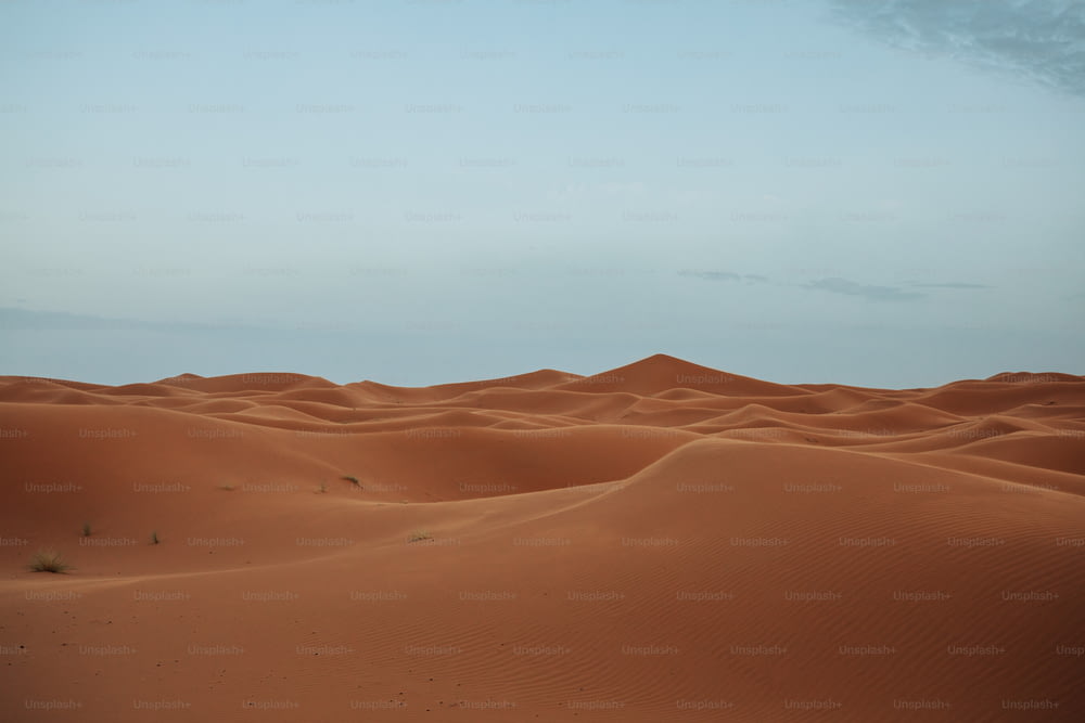 砂漠の砂丘の大規模なグループ