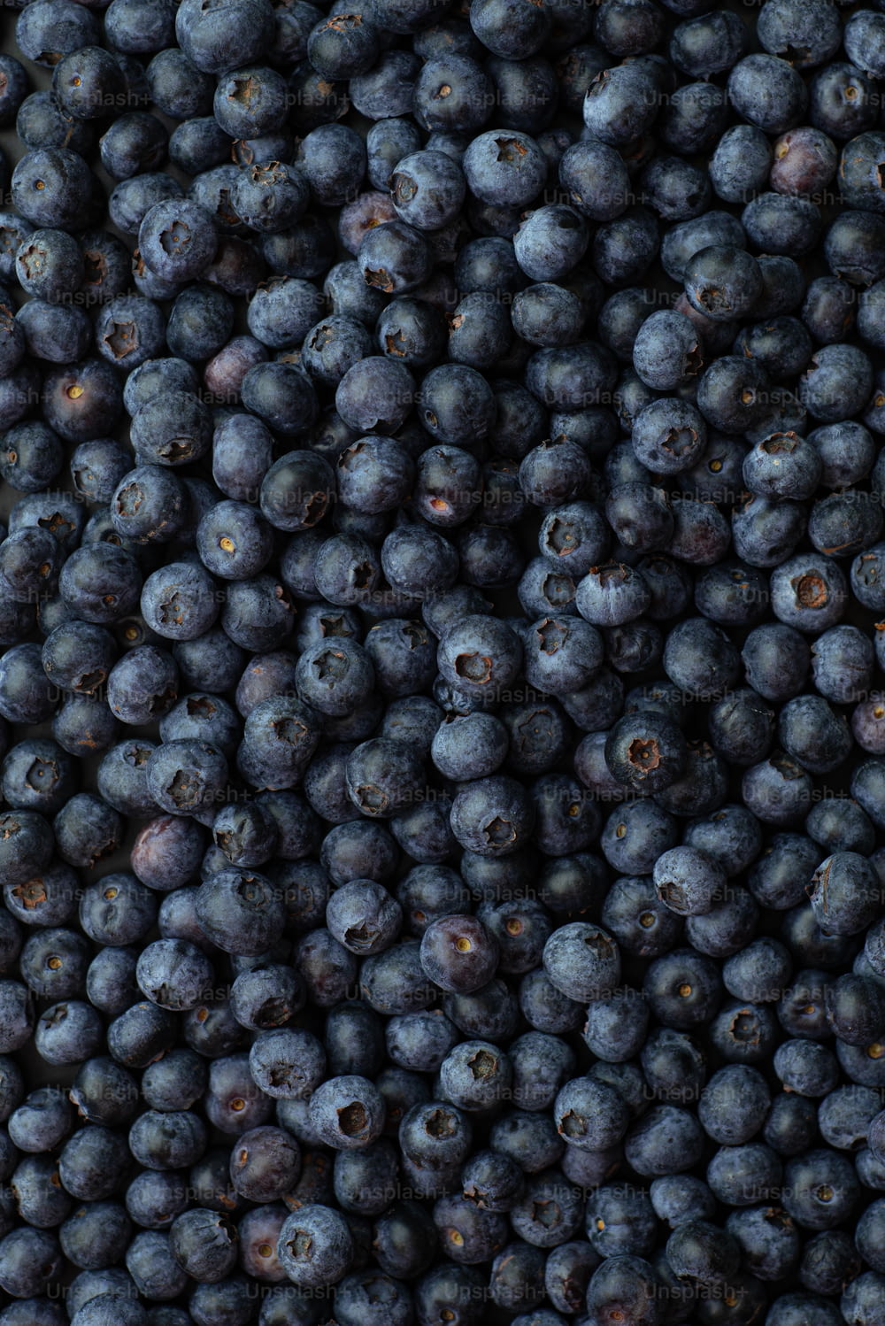 a bunch of blueberries are piled on top of each other