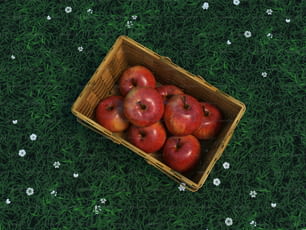 une boîte en bois remplie de pommes rouges au-dessus d’un champ vert