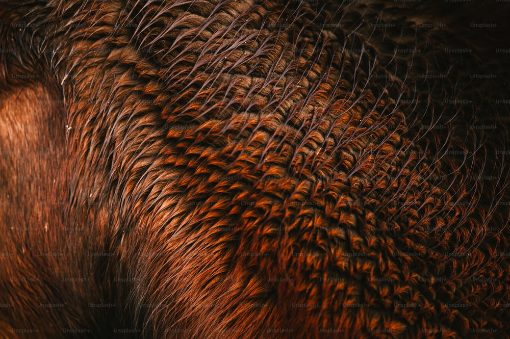 a close up of the skin of an elephant