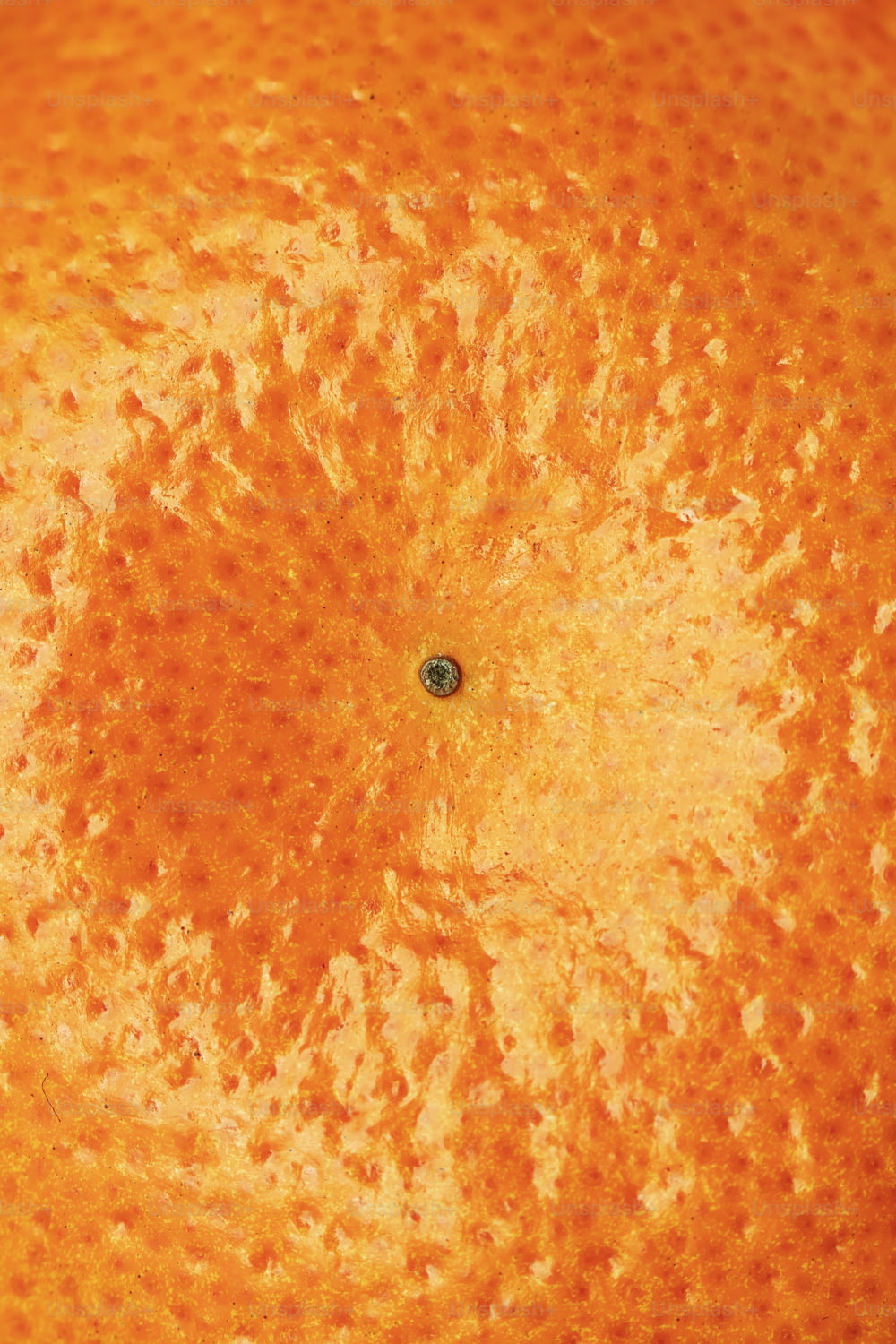 a close up of an orange with a black spot in the center