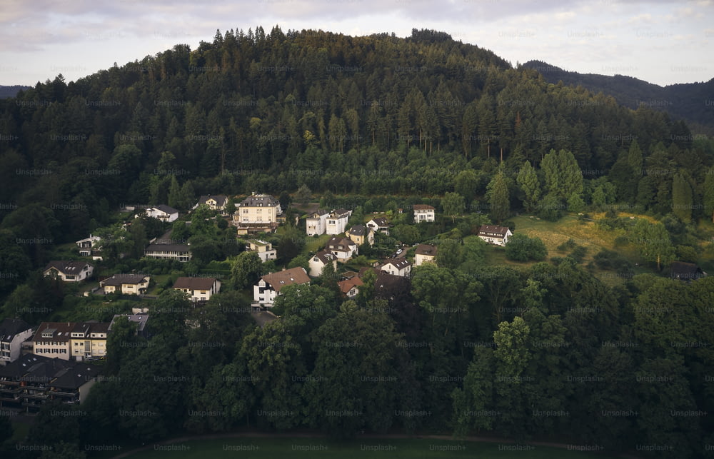 an aerial view of a small village nestled in a forested area