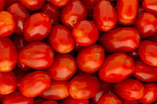 a close up of a bunch of red tomatoes