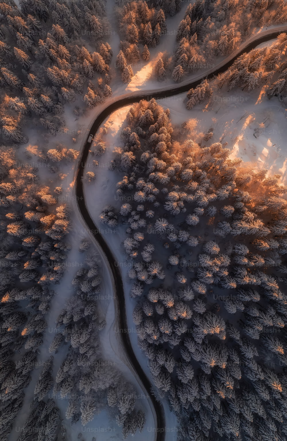 uma estrada sinuosa no meio de uma floresta coberta de neve