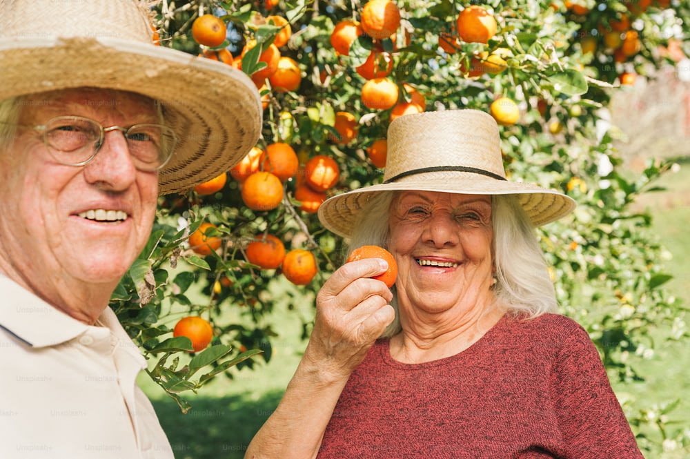 um homem e uma mulher em pé sob uma laranjeira