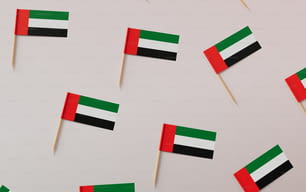 Un grupo de pequeñas banderas en palillos de dientes sobre una superficie blanca