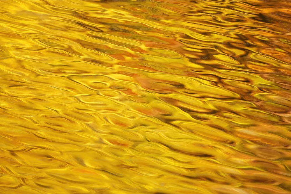 Gros plan d’une surface d’eau avec des couleurs jaunes et rouges