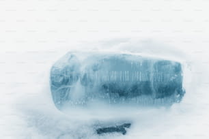 una bottiglia di ghiaccio seduta nella neve