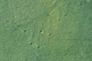 a bird's eye view of a green area