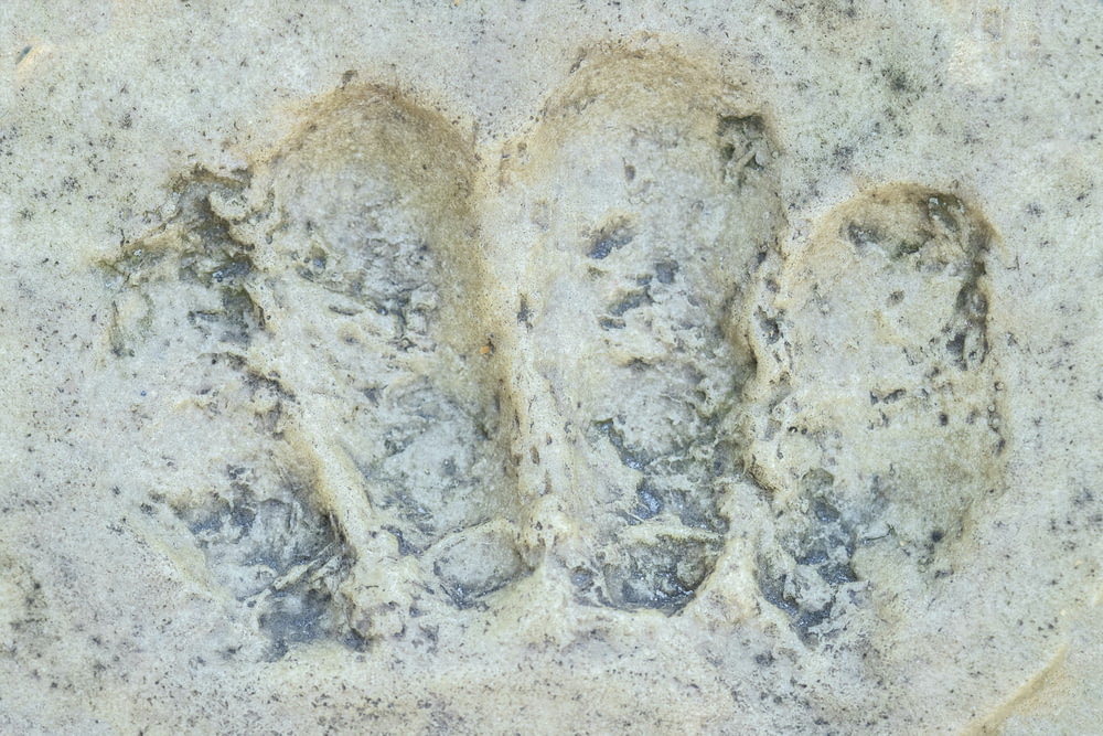 Eine Nahaufnahme von zwei Fußabdrücken im Sand