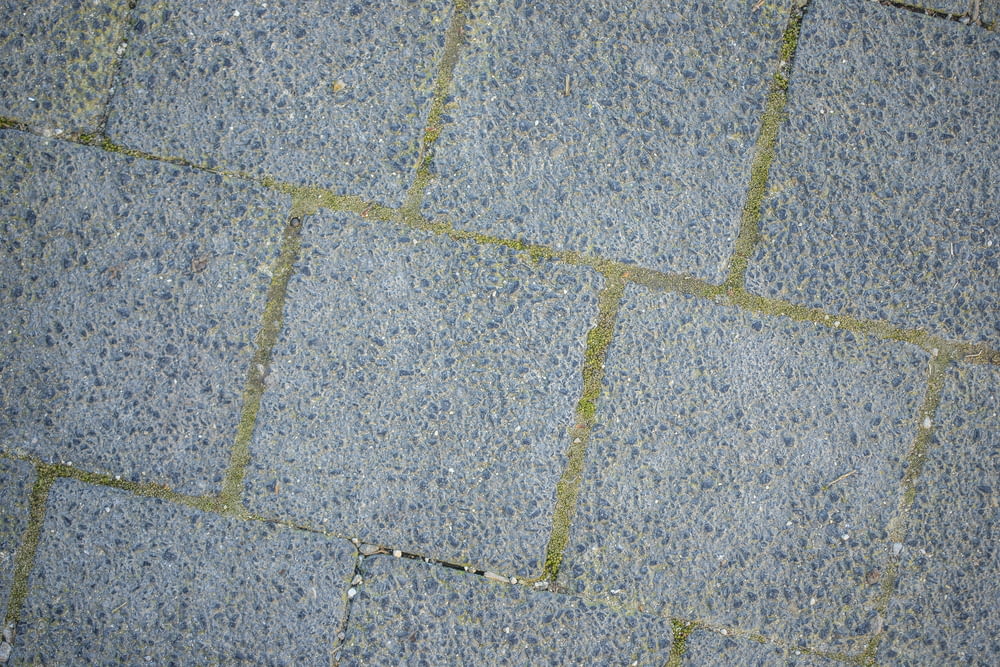 a close up of a brick sidewalk with grass growing on it