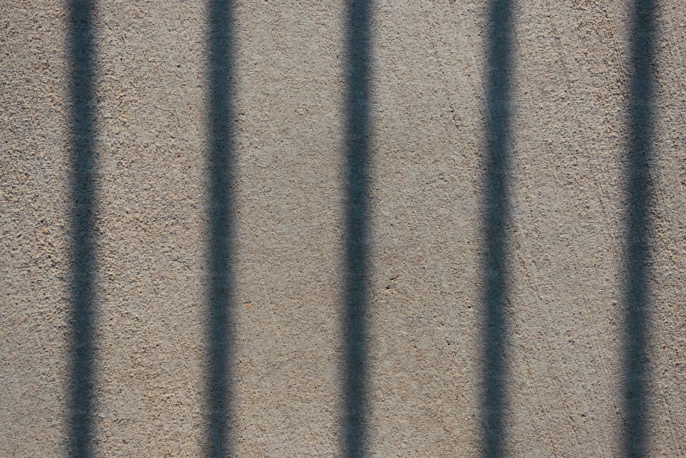 L’ombre d’une clôture sur un mur de béton