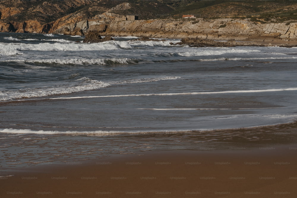 서핑 보드로 해변을 걷는 사람