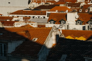 Ein Blick auf Dächer und Gebäude in einer Stadt