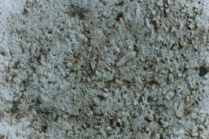 un gros plan d’une surface de ciment avec de la terre et des roches