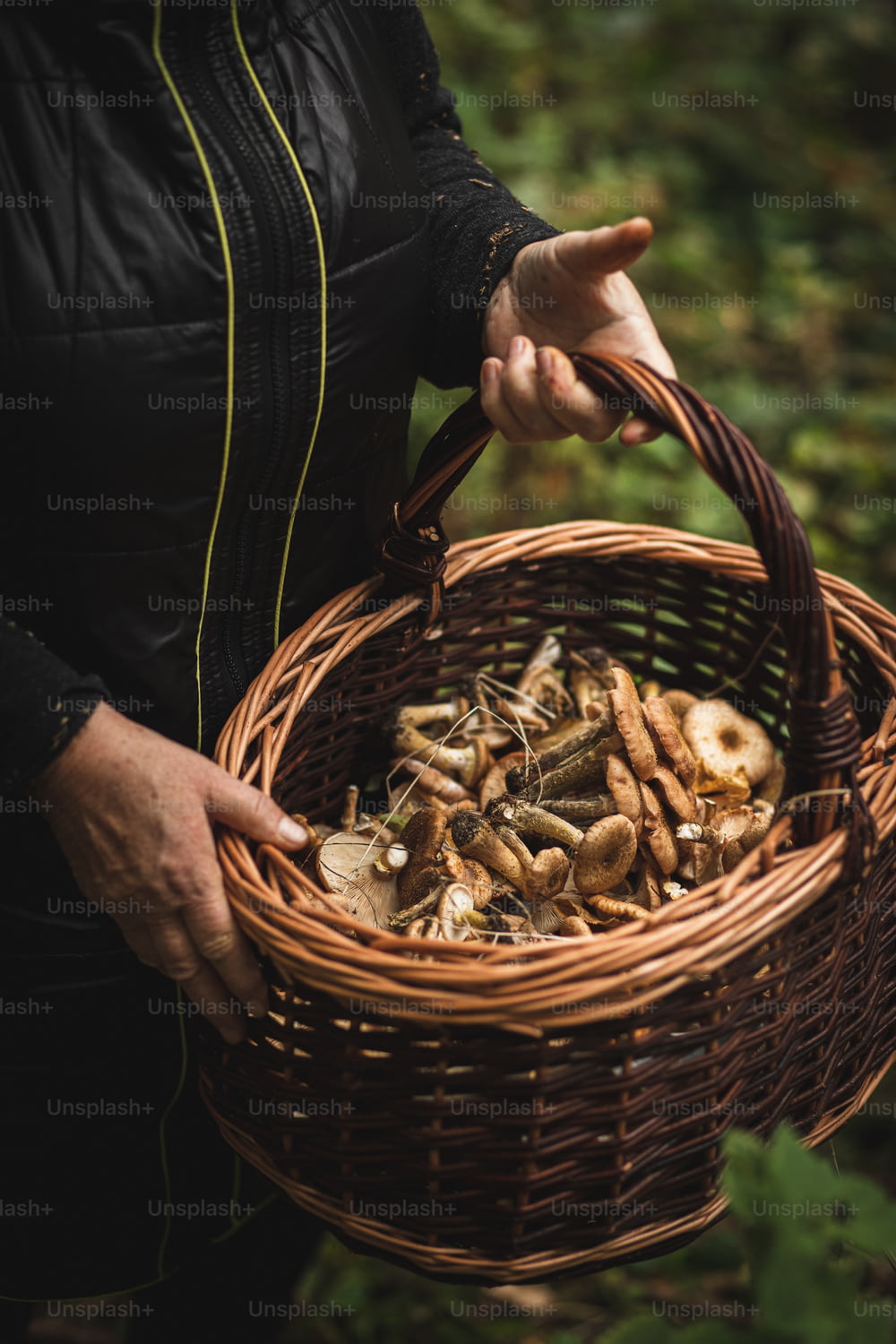a person holding a basket full of mushrooms