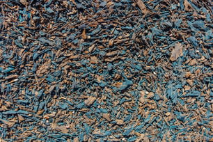 a close up of a pile of wood chips