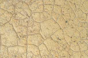 a close up of a stone surface with cracks