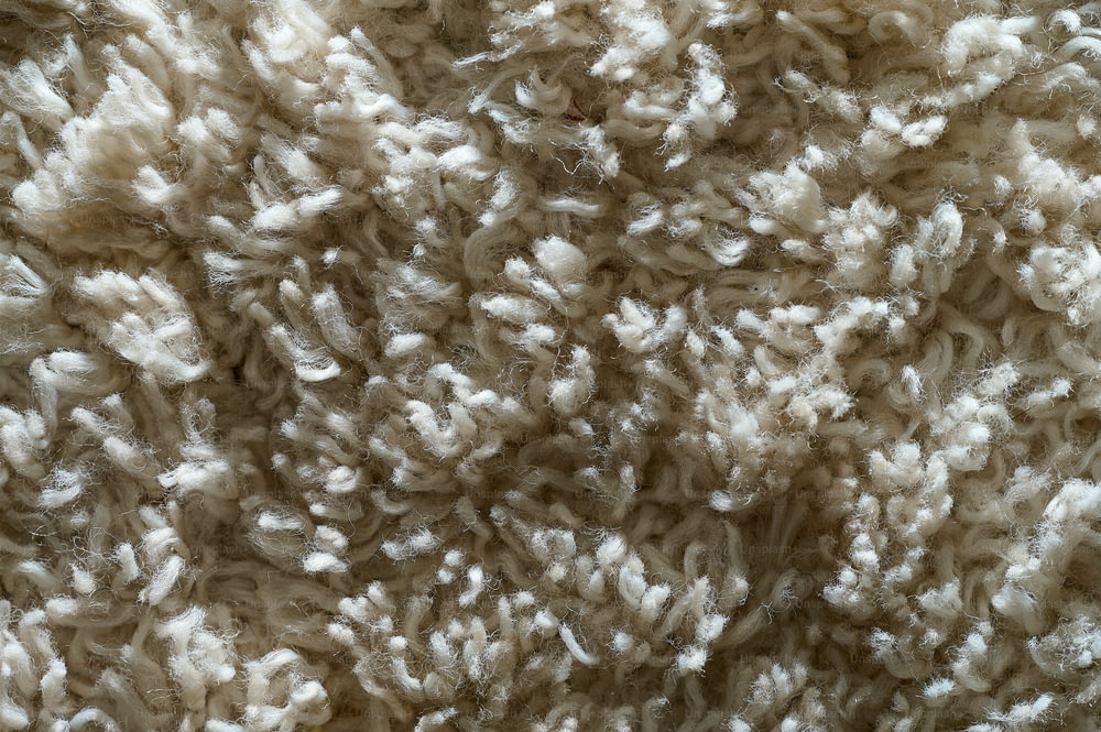 Gros plan d’une texture de tapis blanc