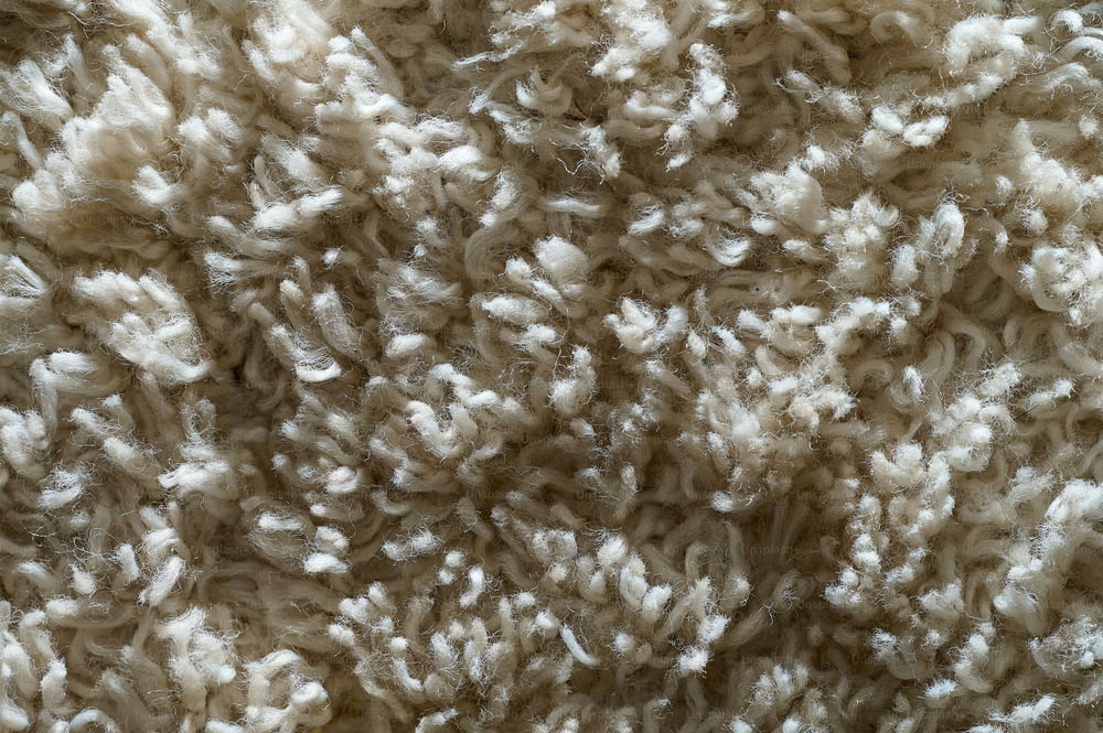 a close up of a white carpet texture