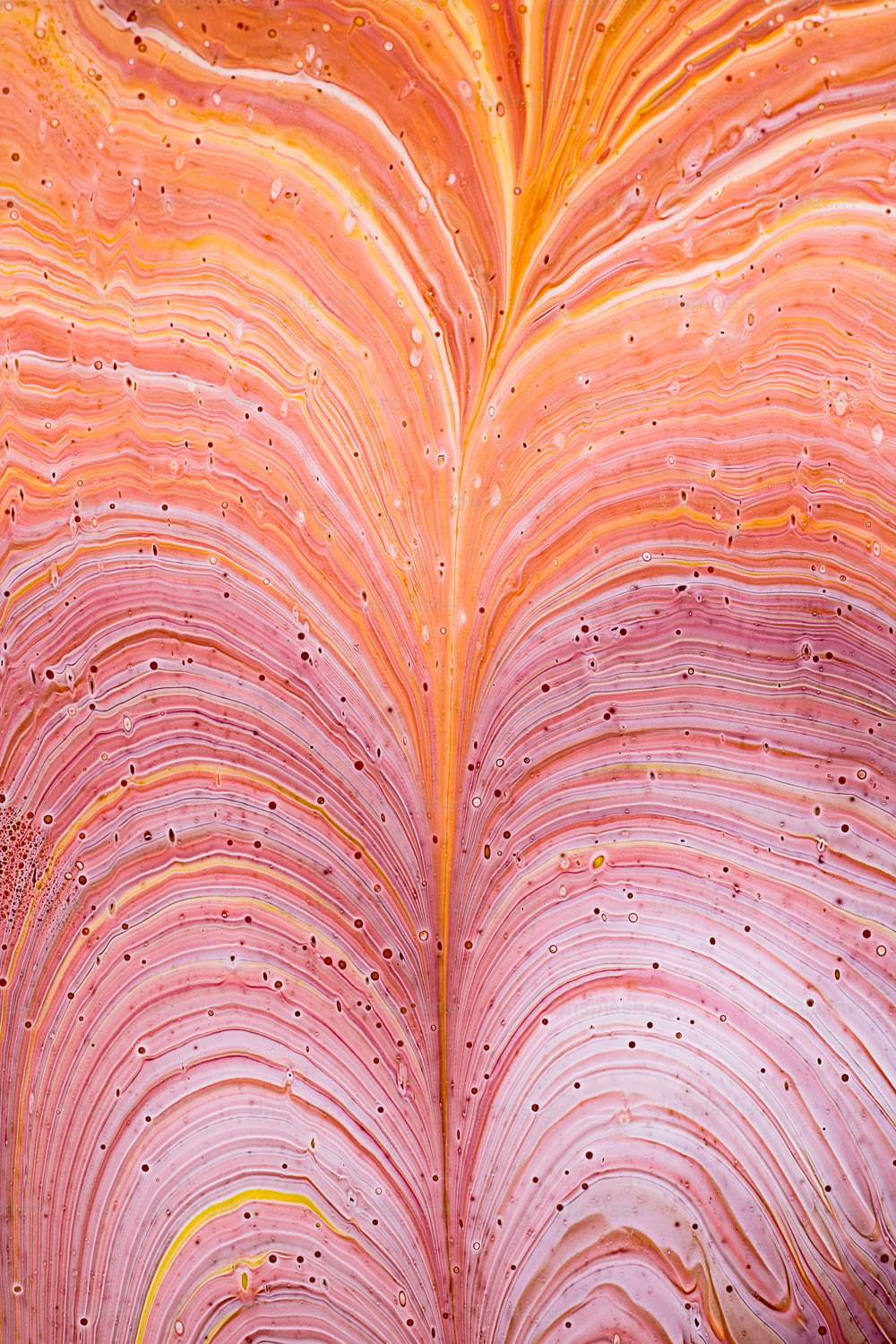 a close up of a pink and yellow leaf