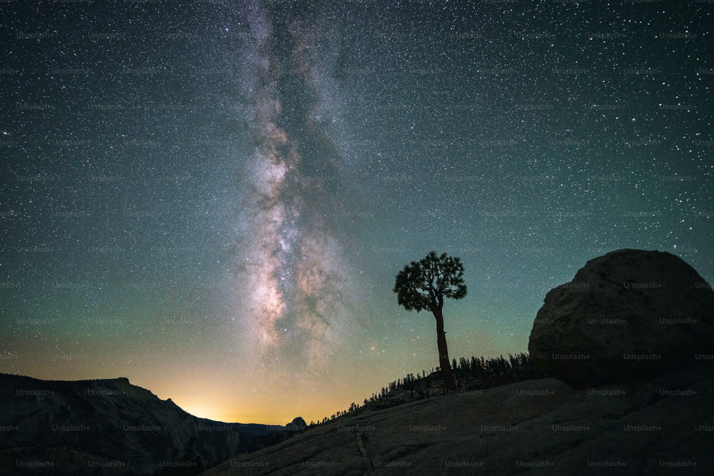 a lone tree on a hill under a night sky filled with stars