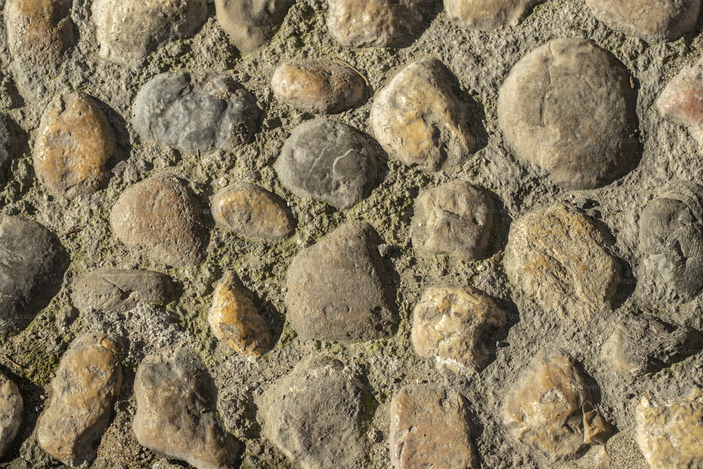 a close up of rocks and dirt on the ground