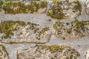un muro di pietra con muschio che cresce su di esso
