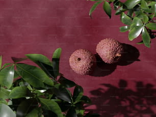 um par de frutas sentadas em cima de uma mesa