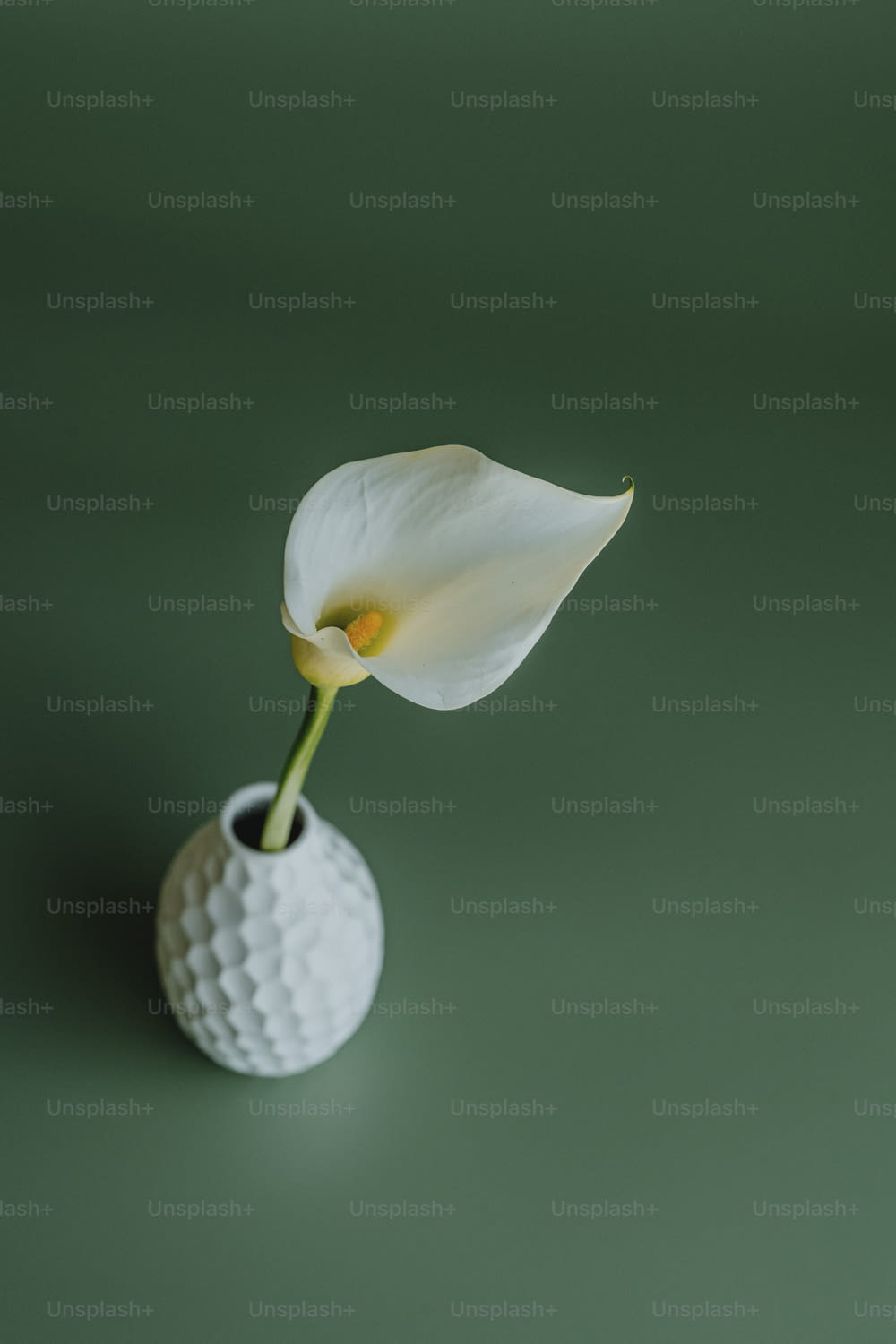 a white flower in a white vase on a green surface