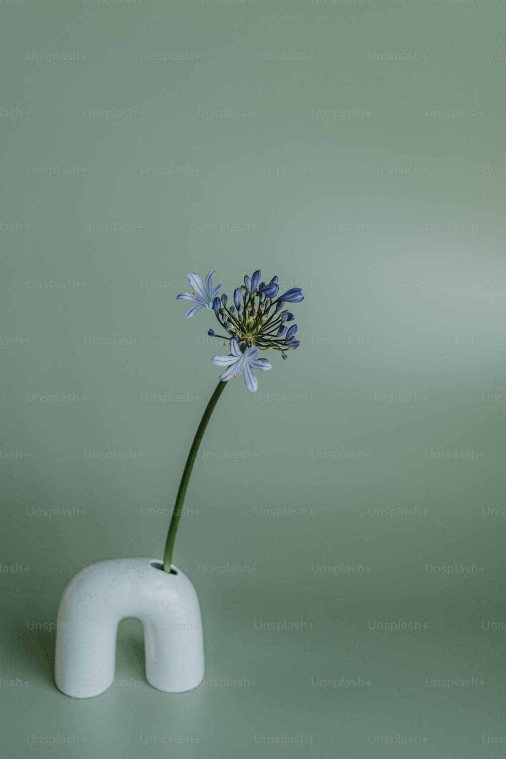 a white vase with a blue flower in it