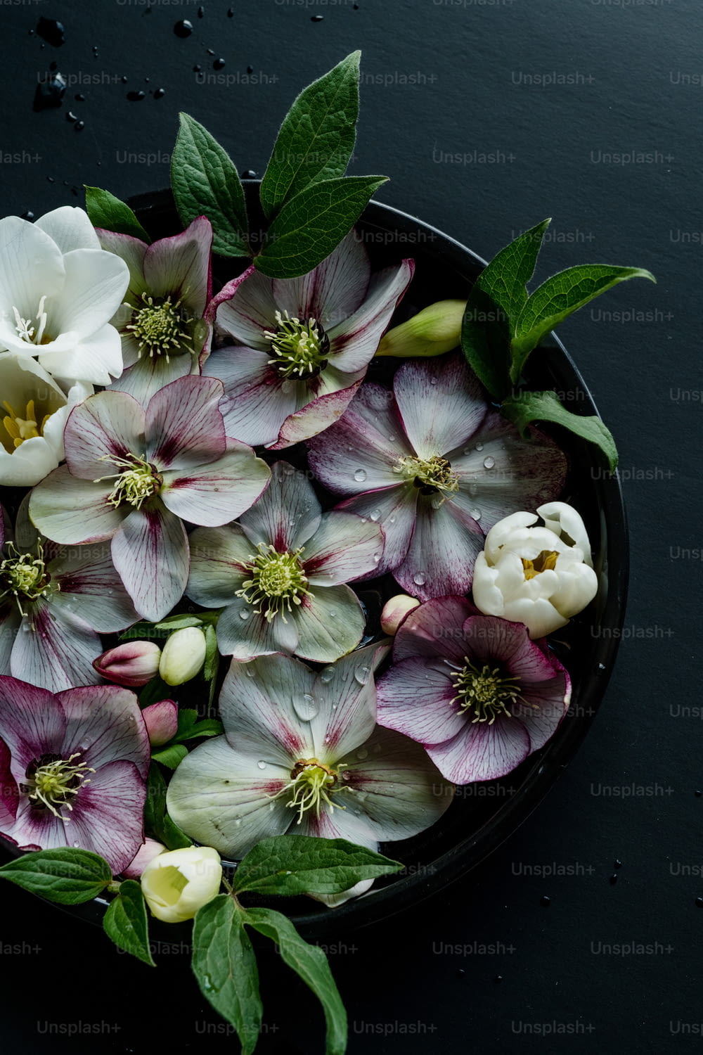 a black bowl filled with white and pink flowers