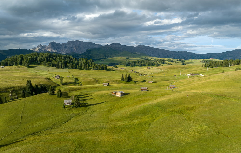 a lush green field with a mountain range in the background