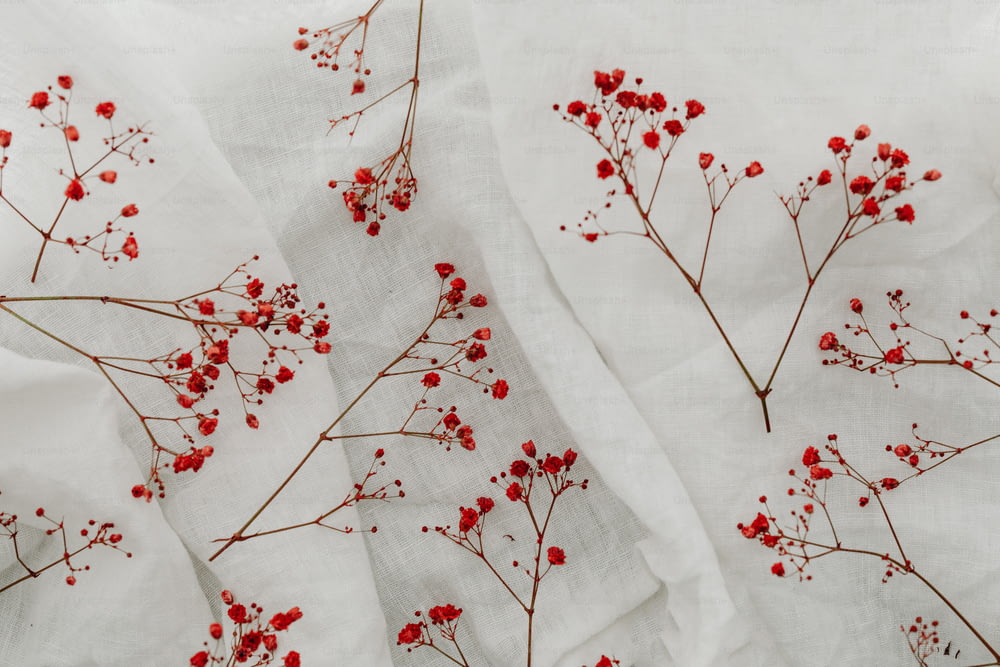 a close up of a white cloth with red berries on it