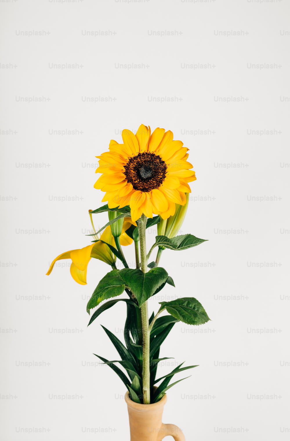 a vase with a sunflower in it on a table