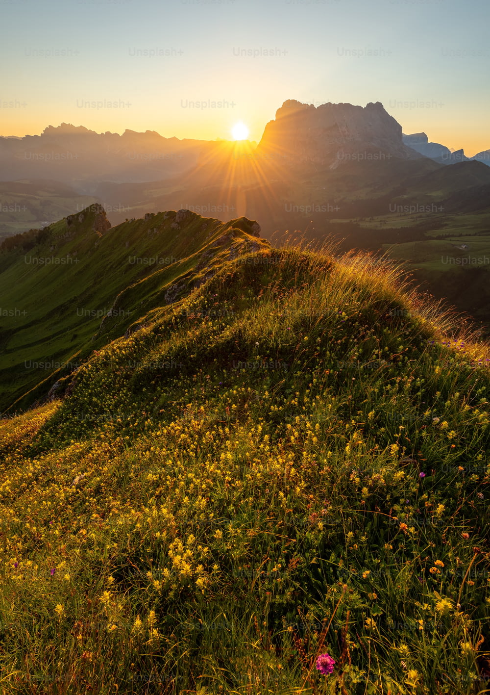 Le soleil se couche sur une colline herbeuse