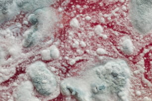 um close up de neve em uma superfície vermelha