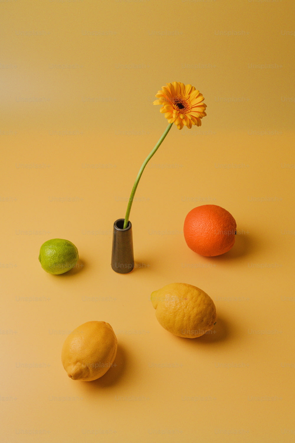 a flower in a vase next to lemons and an orange