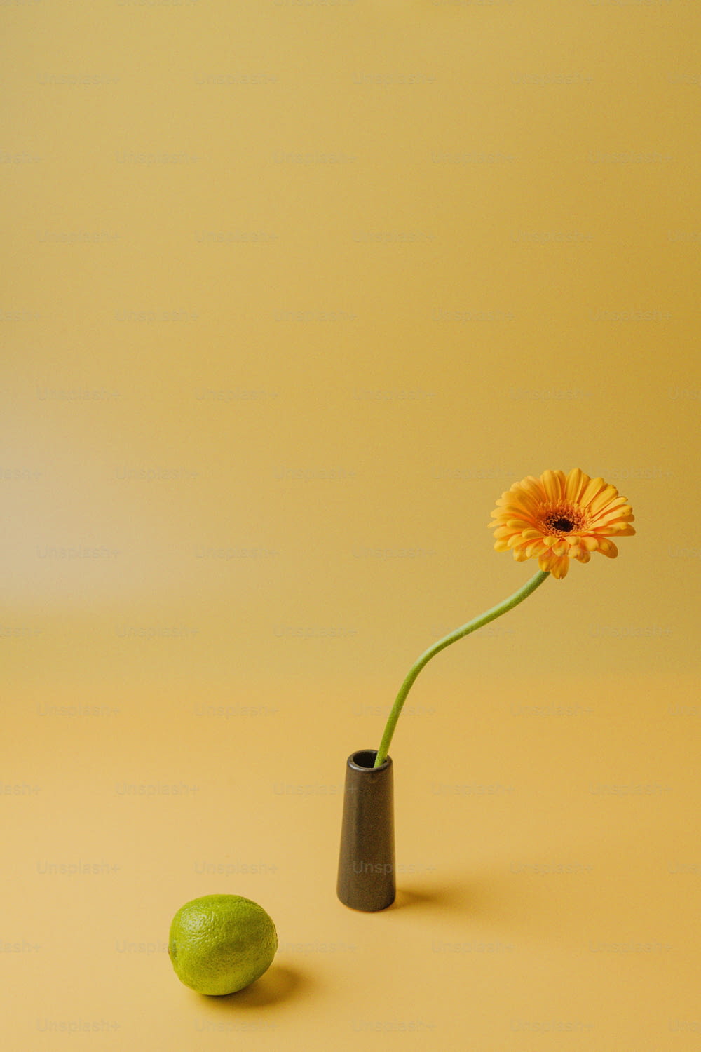 uma flor amarela em um vaso preto ao lado de uma cal