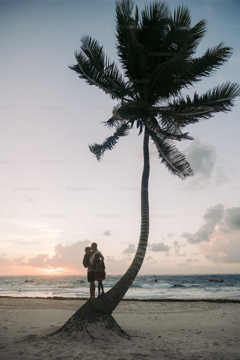 a man standing on top of a palm tree next to the ocean