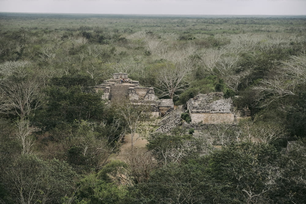 une vue aérienne d’une jungle avec un bâtiment au premier plan