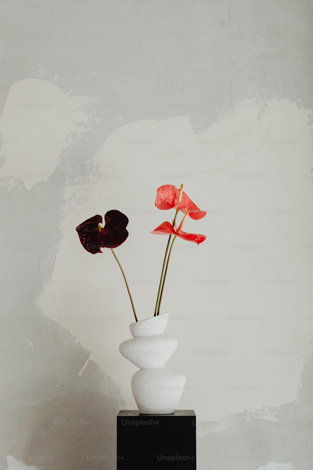 a white vase with two red flowers in it