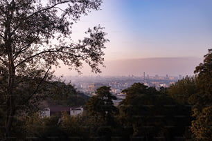 Una vista de una ciudad desde una colina