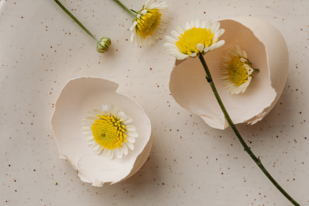 three white flowers sitting on top of a white plate