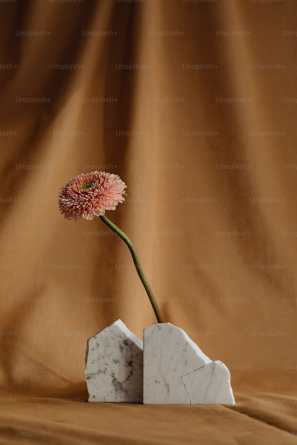 大理石の花瓶の中の一輪のピンクの花
