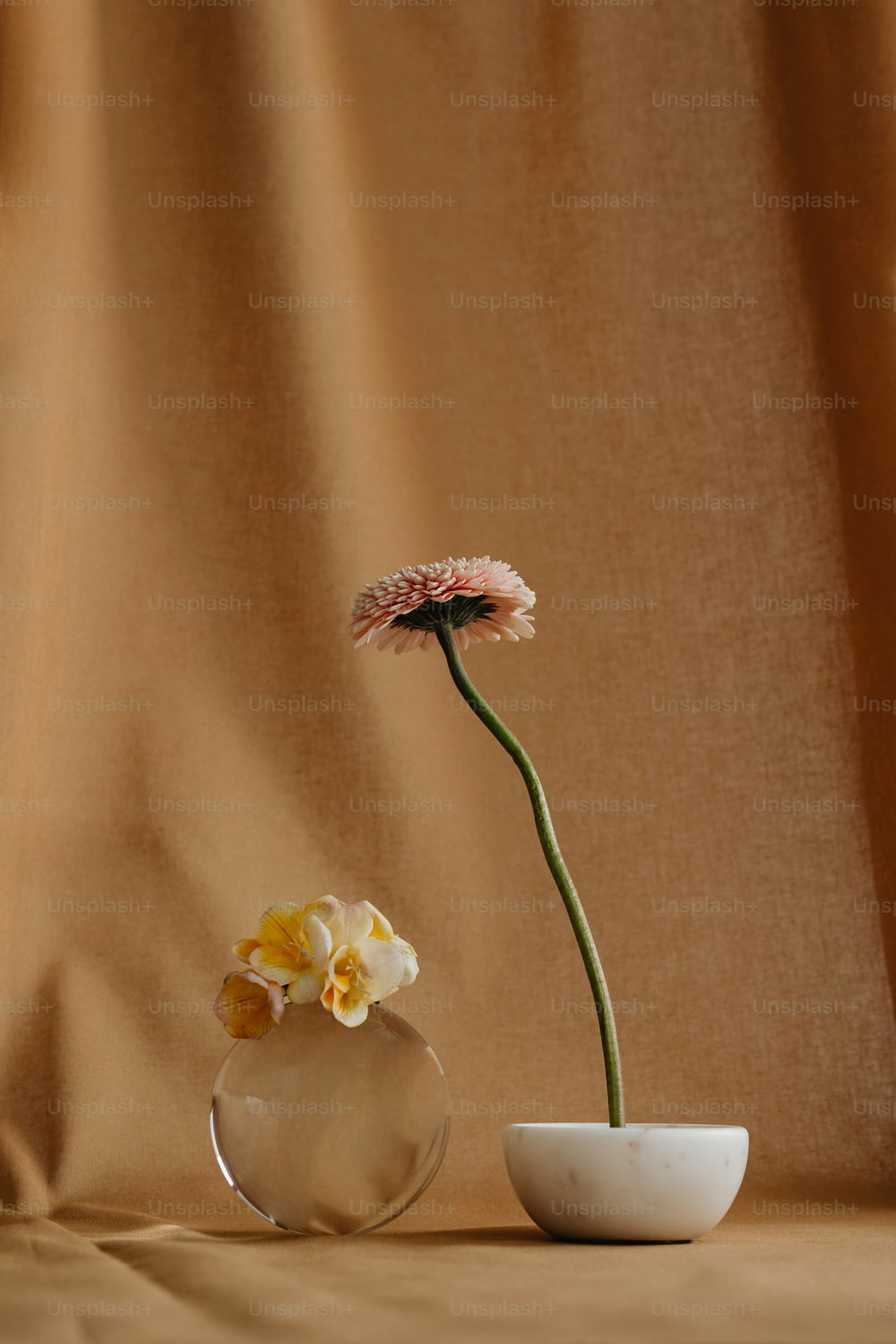 テーブルの上のガラスの花瓶の中の一輪の花
