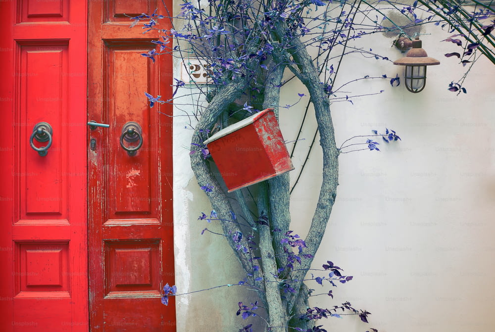 a red door and a tree with purple flowers