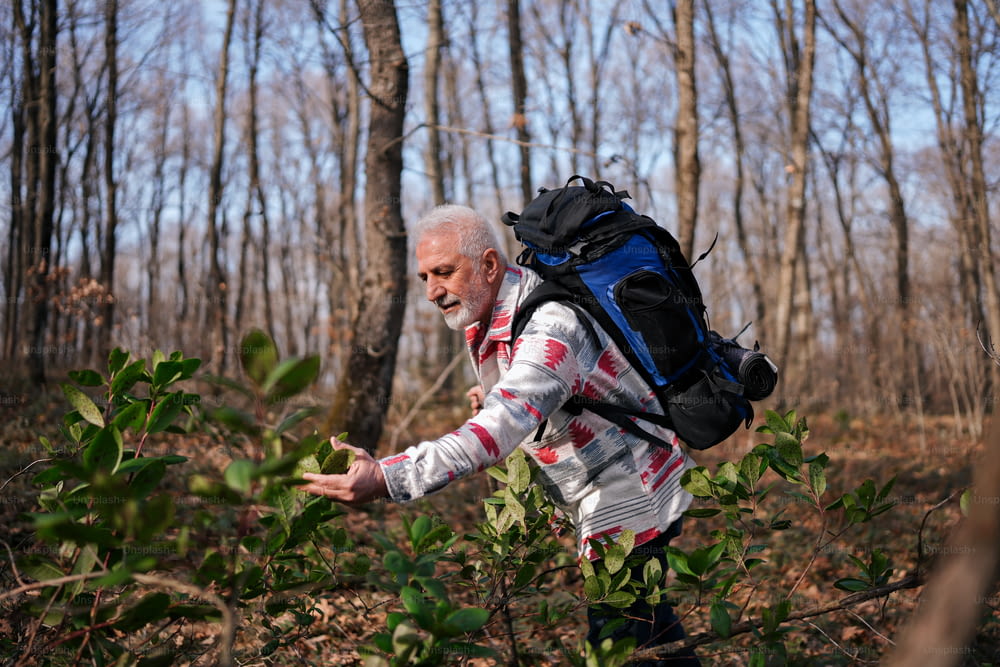 Ein Mann mit Rucksack geht durch einen Wald